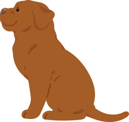 Simple and adorable French Mastiff illustration sitting in side view flat colored