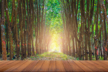 wooden table top on rubber plantation background, sunlight shines