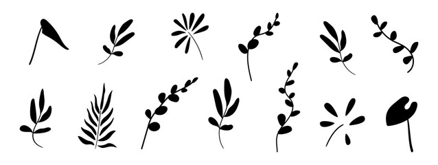 Black isolated silhouettes of tropical twigs. Set of 13 abstract plants on a white background. Use as design elements, stickers, tattoo, decoration, etc.