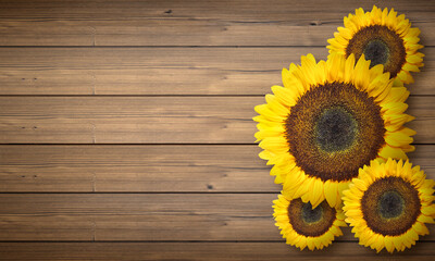 autumn background with sunflowers on wooden board