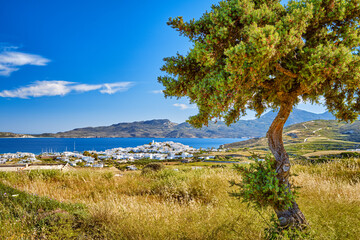 Fototapeta na wymiar Beautiful view of whitewashed Greek town by sea bay on sunny day with