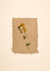 Handmade paper with rough texture and embedded pressed dried flowers, recycled paper. Floral decor to print on the wall. Botanical poster. Modern art.