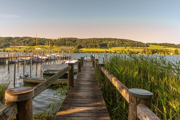 Obraz premium Boat harbor on Lake Constance in morning light, Oehningen, Hoeri peninsula, Baden-Wuerttemberg, Germany