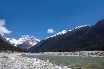Keuken foto achterwand Kangchenjunga The Yumthang Valley or Sikkim Valley of Flowers sanctuary, beautiful river and valley of sikkim in a sunny morning of winter season, North Sikkim, INDIA.