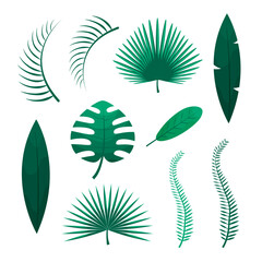 Fototapeta na wymiar Set of tropical leaves. Green jungle palm leaves on white background. Flat vector illustration.