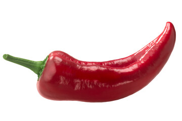 Paprika chile pepper isolated, whole pod. Capsicum annuum fruit