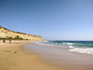the wonderful crystal cove beach in california