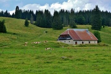 Ferme dans le Jura.