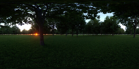 Sunset Forest 360 Panorama