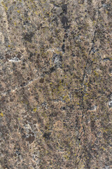 textured overlay rock 16