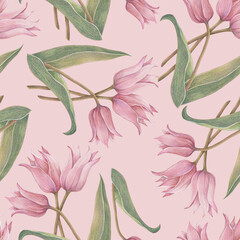 Watercolor seamless pattern with pink tulip.