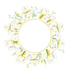 Obraz premium White irises frame