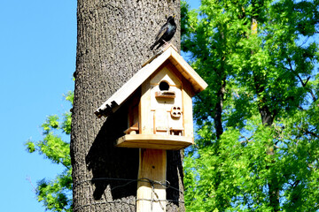 space for feeding birds in a forest in a house