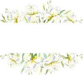 White irises frame