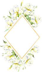 White irises frame