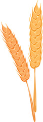 Cartoon illustration isolated object ear of rice