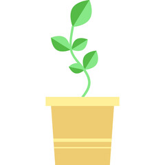 Plant sprout growing in pot icon vector