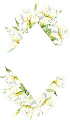 Obraz na płótnie Canvas White irises frame