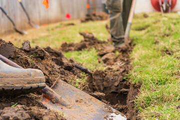 Outdoor Lawn and Landscape