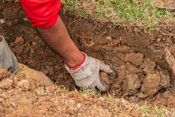 Outdoor Lawn and Landscape