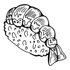 Japanese seafood sushi nigiri with shrimp, on black background