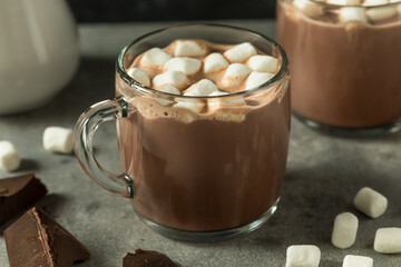 Warm Refreshing Hot Cocoa Chocolate