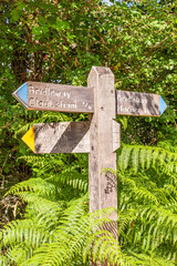 An inviting bridleway sign at Cloutsham in Exmoor National Park, Somerset UK