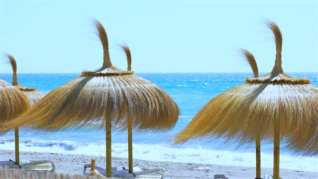 Focus on umbrellas and straw parasol during a windy day at the beach 
