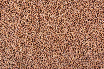 Large pile of dried buckwheat groats