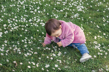 Baby girl, playing and exploring nature, sitting on the ground in a park full of flowers. Happy childhood concept, contact with nature.