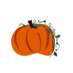 pumpkin isolated on white