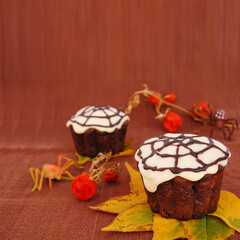 Decorated Halloween Cupcake with a spider web and spider