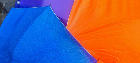 Umbrella, Rain, Rainbow, Close-up, Protection