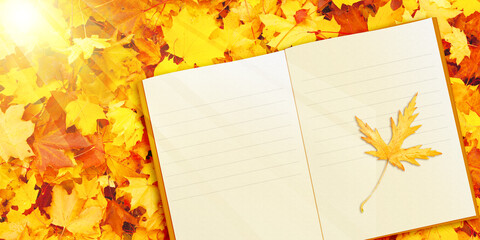 book with leaves