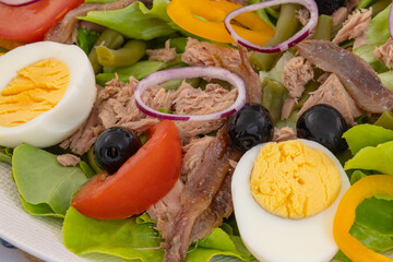 assiette de salade niçoise en gros plan