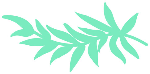 Plant decoration, nature design element. PNG with transparent background.
