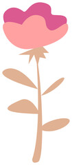 Plant decoration, nature design element. PNG with transparent background.
