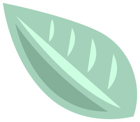 Plant decoration, nature design element. PNG with transparent background.