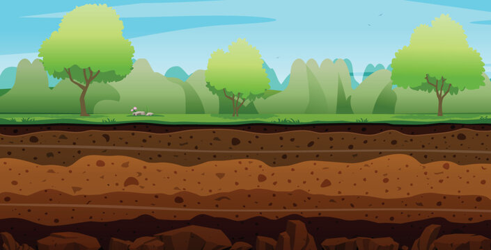 The level soil layer is covered with grass and trees.