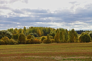 Autumn field landscape with trees and clouds