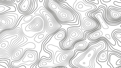 Fototapeta premium White wave paper curved reliefs abstract background, Abstract topographic contours map background. Geographic mountain relief. Abstract lines background. Contour maps. Business concept