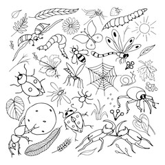 Set of Hand Drawn Insects Doodle Vector Illustration