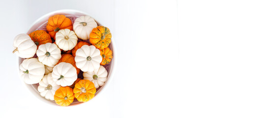 Autumn decoration on white with copy space. Fall, halloween, thanksgiving.