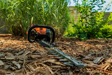 Outdoor Lawn and Landscape