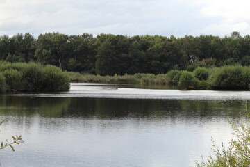 A landscape shot of a lake and a forest. Photo taken in Lancashire, England during the early autumn period.