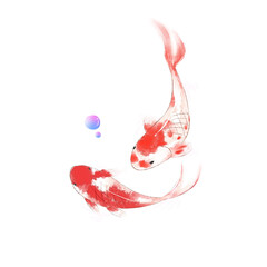 koi 