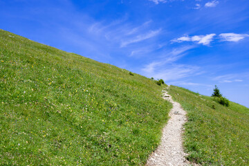 Way up through green meadow against blue sky