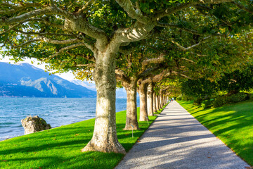 Villa Melzi gardens in the beautiful evening light