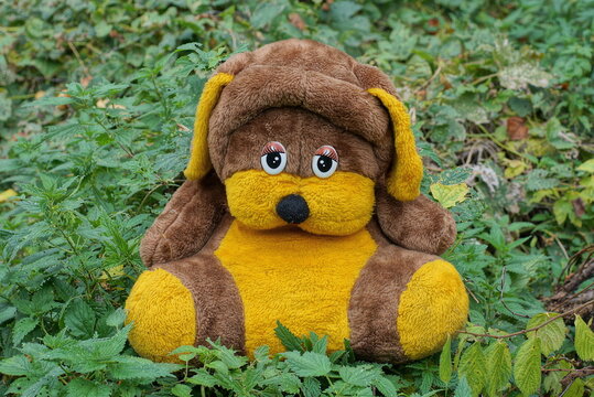 one big brown yellow plush toy dog sits in green vegetation in nature