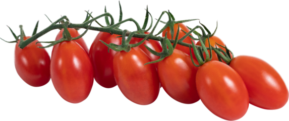 Tomato on branch